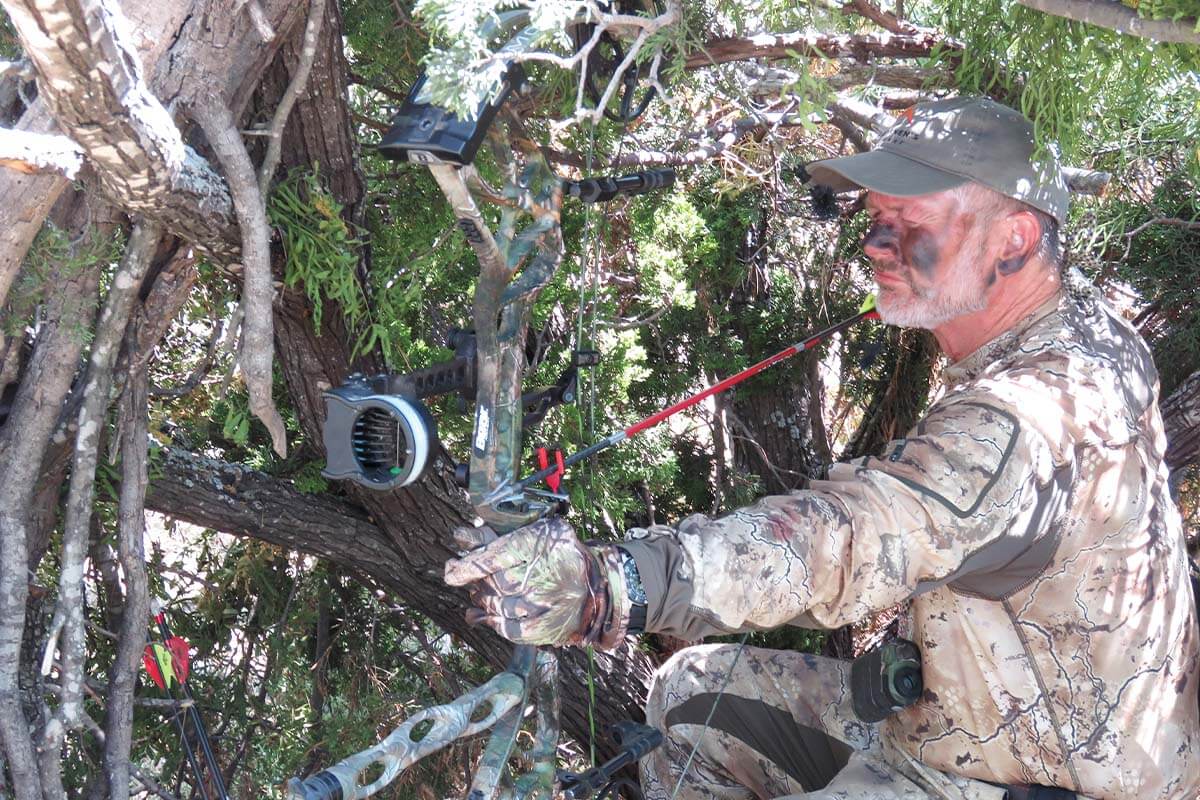 Understanding Edge Habitat and How Whitetails Use It