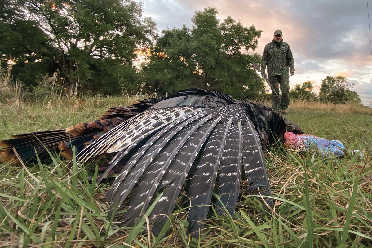 Guarded Gobblers: Insider Info on Hunting Pressured Turkeys
