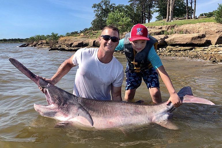 Man-Sized Paddlefish Almost a World Record