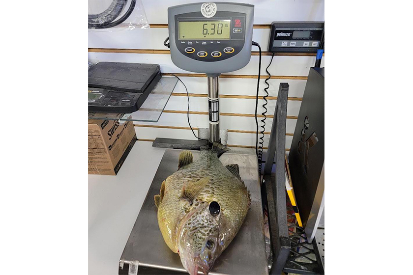 World-Record-Redear-Sunfish