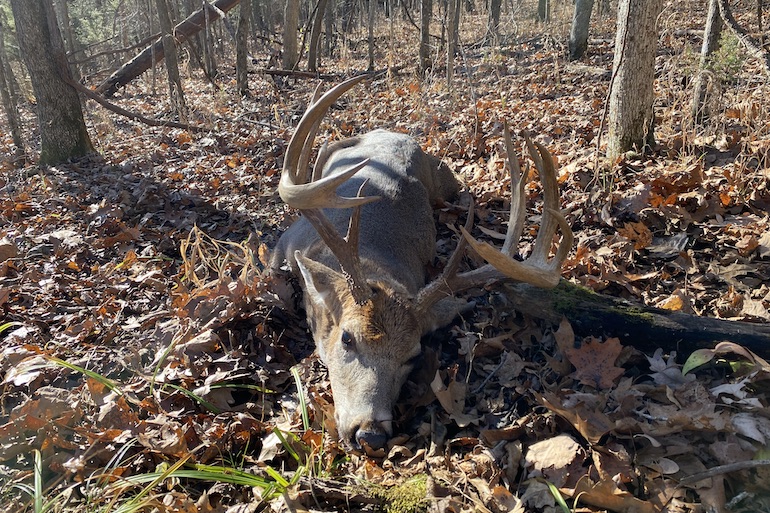 Stories from the Field: Big Whitetail Punctuates Brothers' Hunting Trip