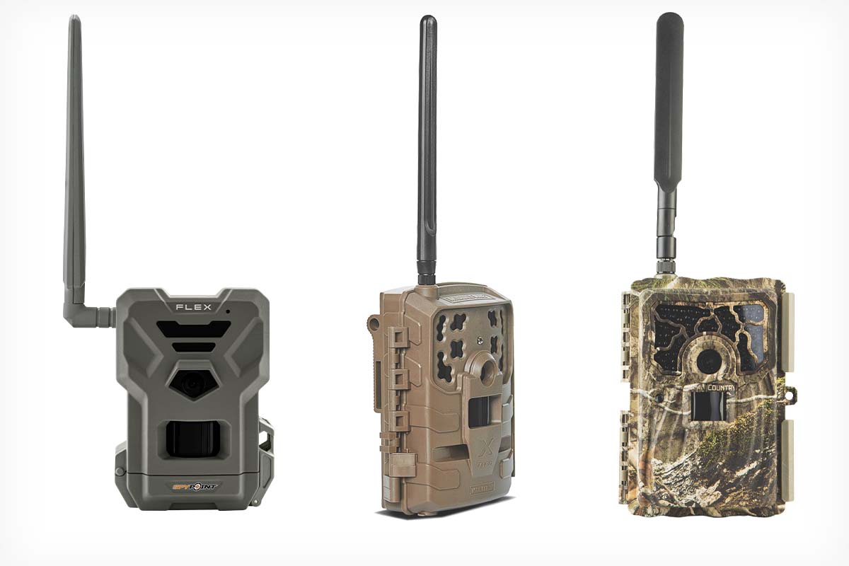 Rut, Camera, Action: 3 Cell Trail Cams to Keep You Updated