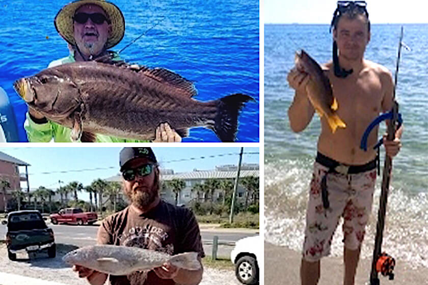 Florida Confirms 3 New State Saltwater Fishing Records