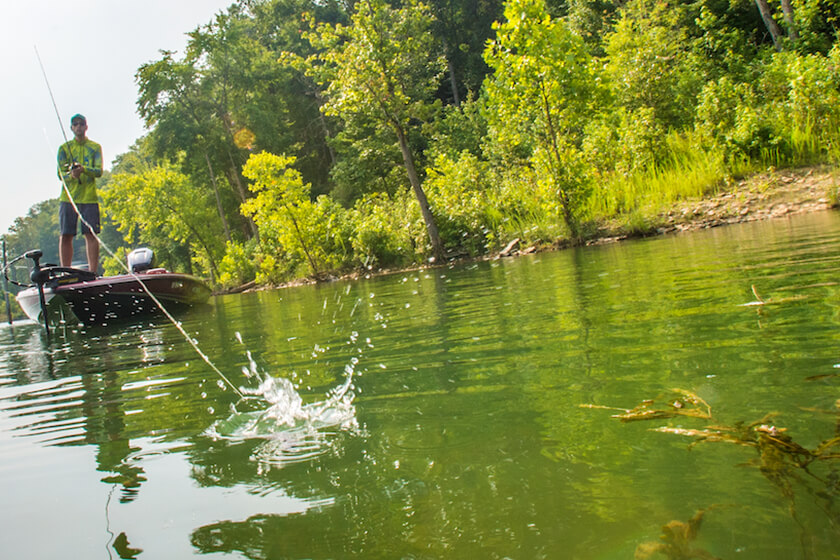 Shallow Thinking for Middle-of-Summer Fishing