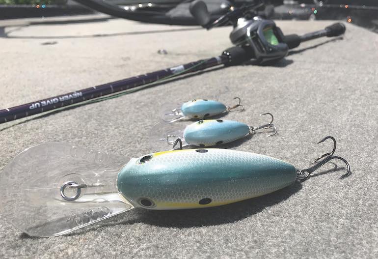 MIKE IACONELLI: Soft Plastic Jerkbaits and Fall Bass - Major League Fishing