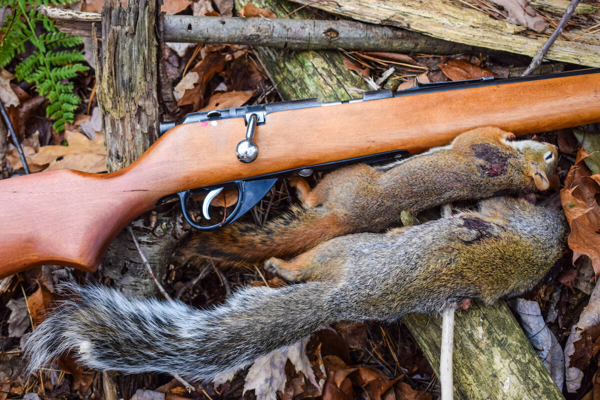 Field to Fork: Skin a Squirrel in 60 Seconds