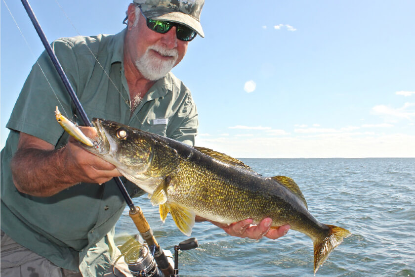 Suspending Jerkbaits for Walleye Fishing Success