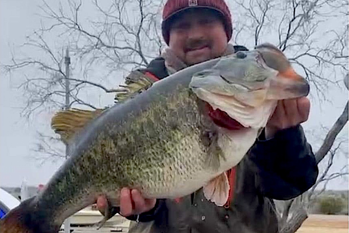 17.06 Pounds! Lunker Bass Biggest in Texas in 30 Years