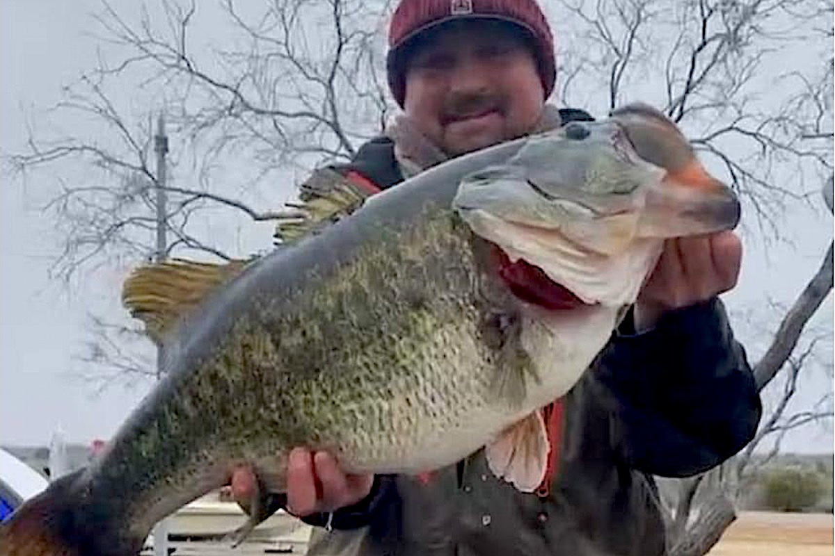 Video released of 14-pound monster bass catch