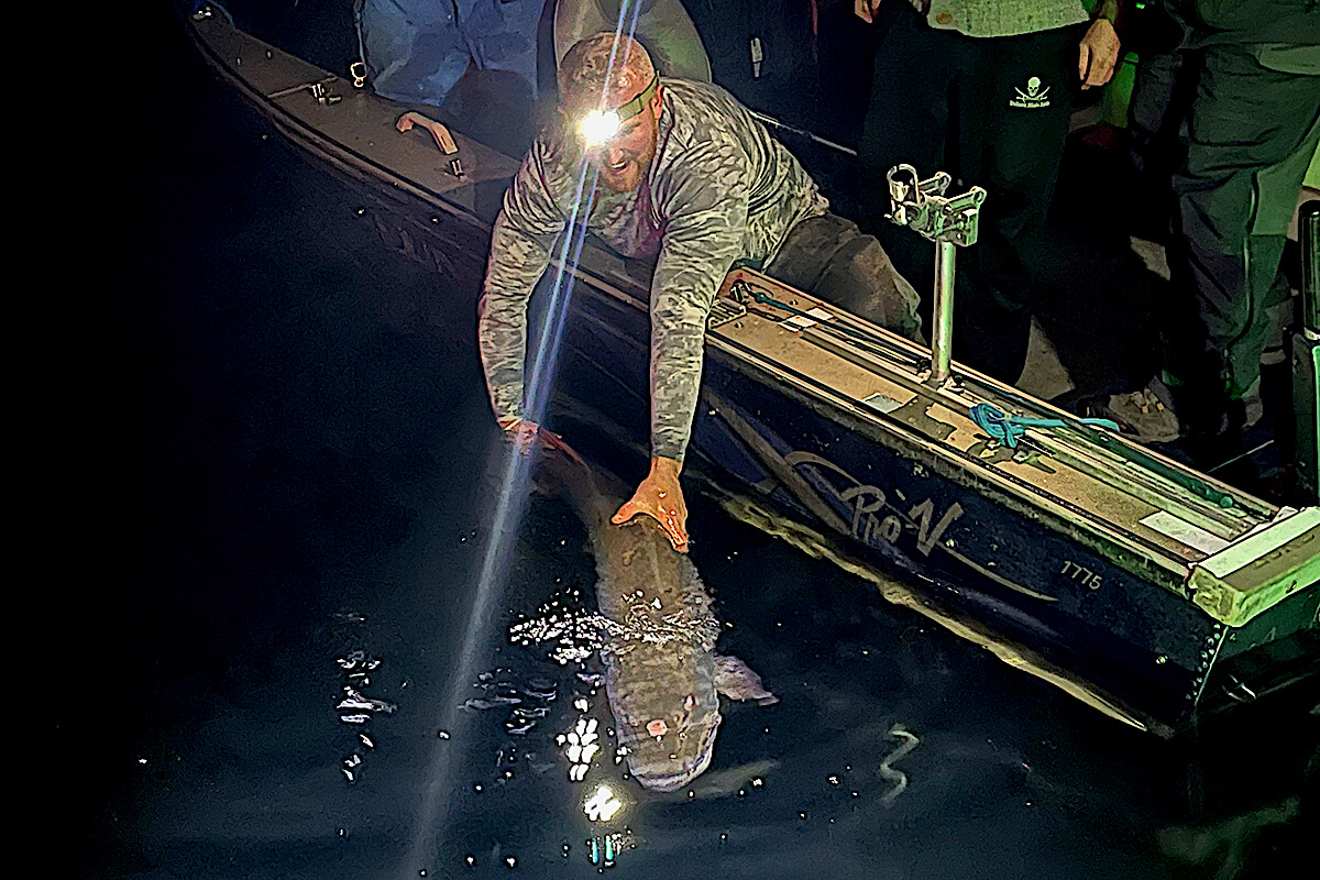 'Speechless': Lake Ontario Muskie a World-Class Catch?