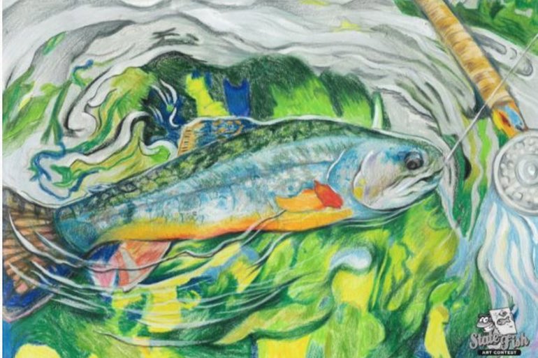 State-Fish Art Contest Open to Young Artists