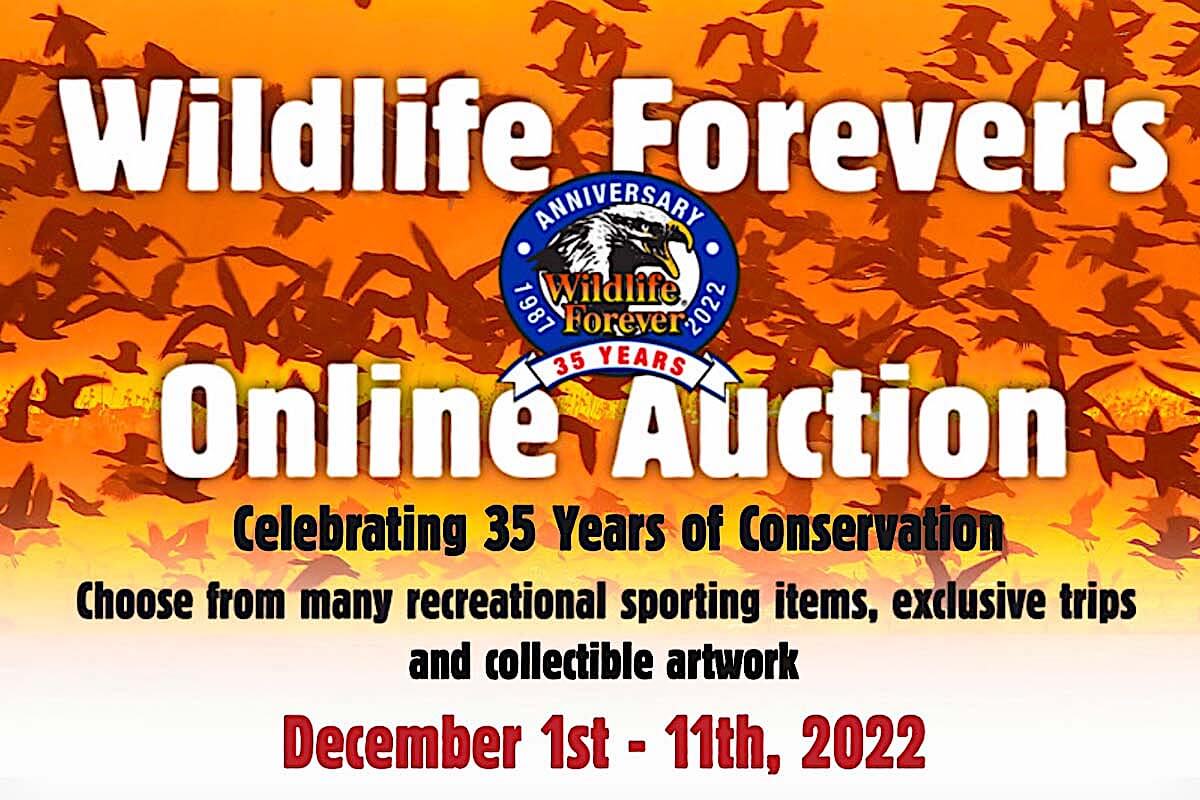 Wildlife Forever Online Auction Now Open for Bidding
