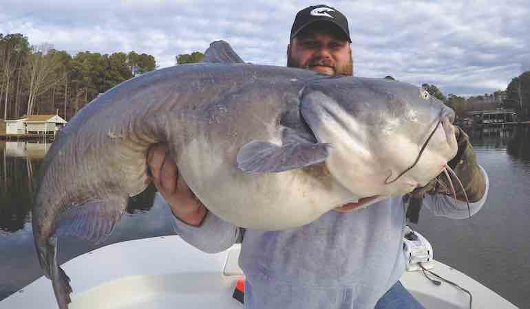Martin and Godwin lead Monster Cat Quest on Santee Cooper - Catfish Now