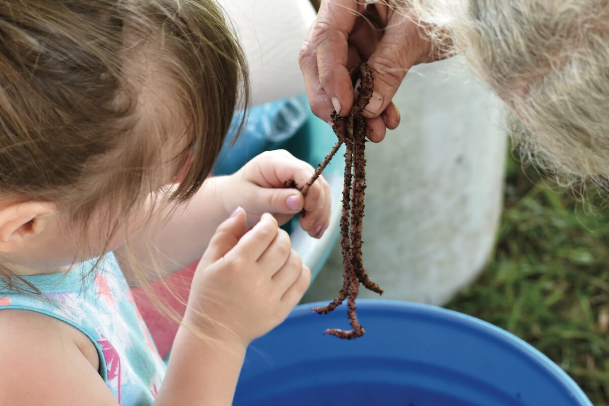DIY: Earthworms Can't Hide When 'Grunters' Are Hunting - Game & Fish