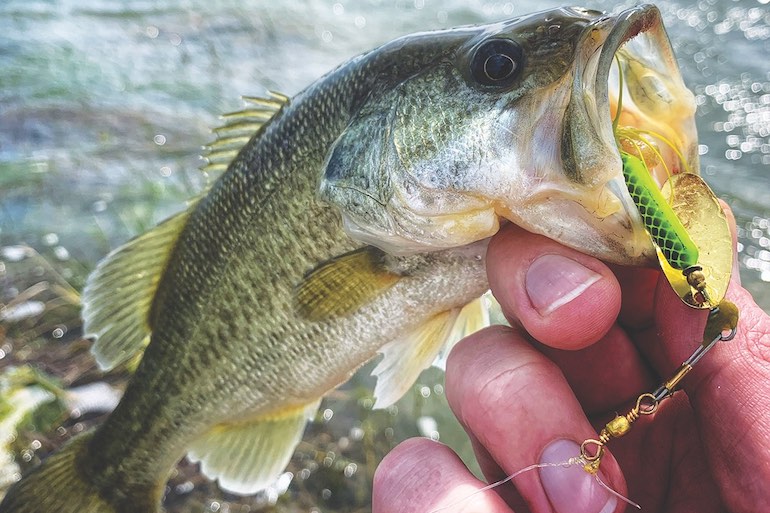 Perspective: Satisfy Fishing Passion When You Can