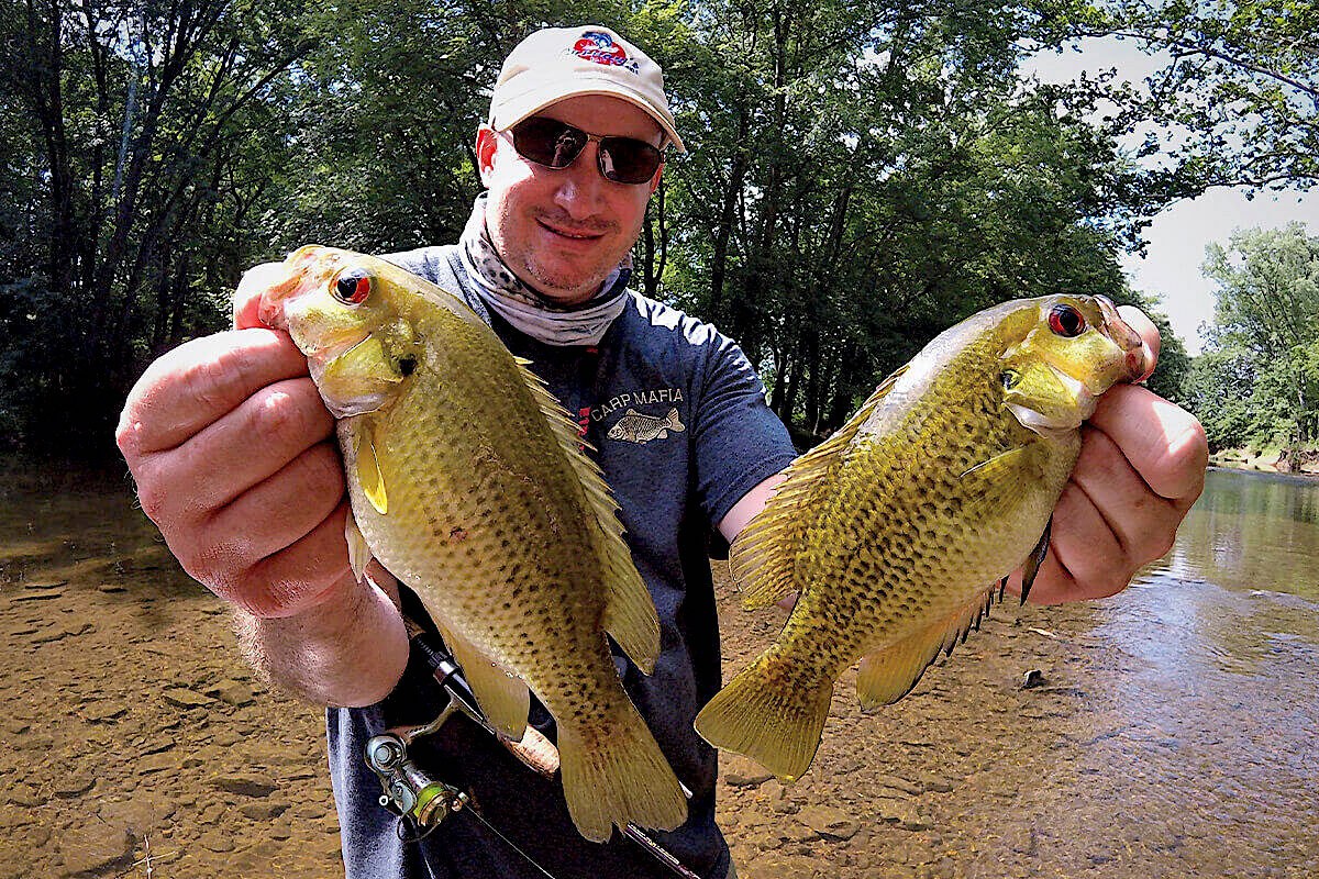 Jump in a Creek for Fast Panfish Action