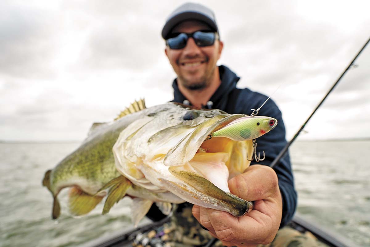 3 Scenarios When Lipless Crankbaits are Best for Bass - Game & Fish
