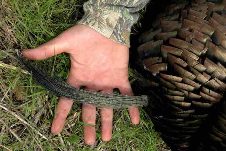 Spring Turkeys: Kill More Toms With the Right Choke Tube