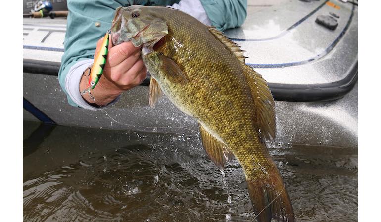 Jerkbaits & Heavy Metal for Early-Winter Bass