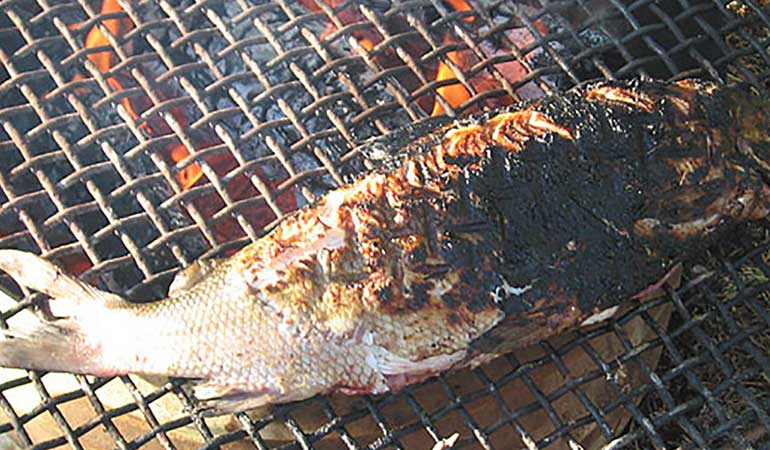 Grilled Canadian Whitefish Recipe