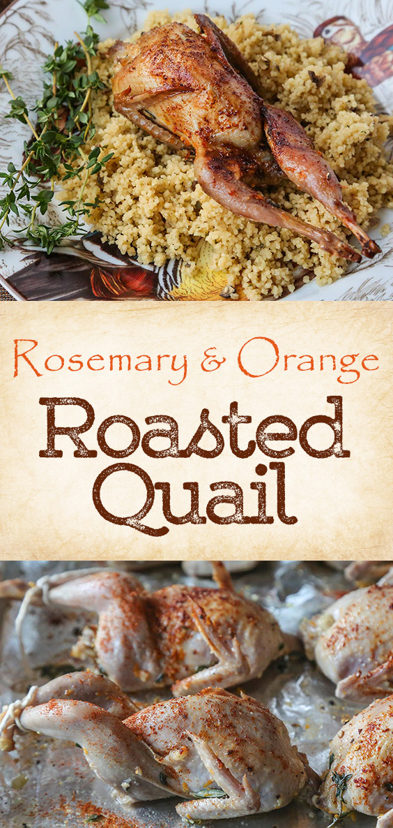 Rosemary and Orange Roasted Quail Recipe