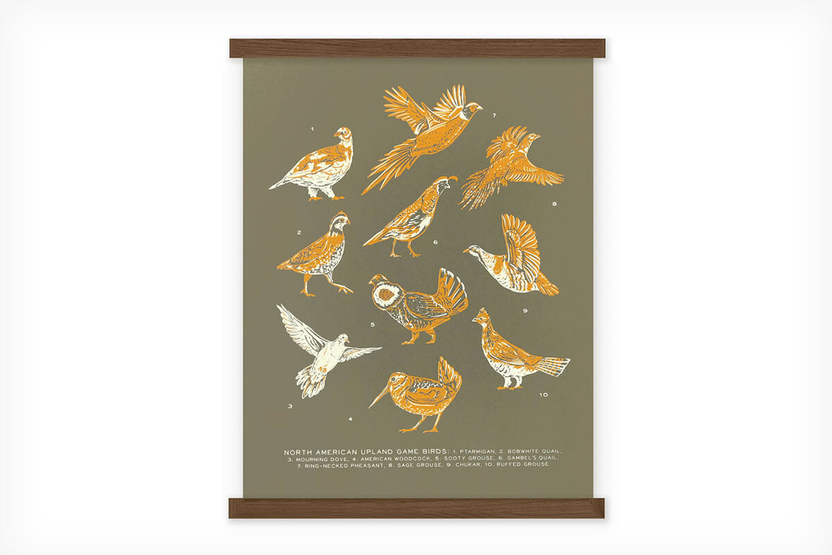 Wild Wander Upland Game Birds Guide Print