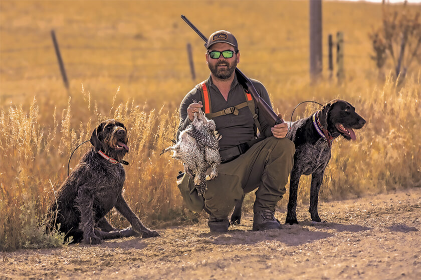 upland hunter with sharp-tailed grouse and pointing dogs