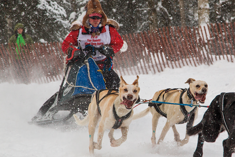 Conditioning Tips from a Sled-Dog Champion