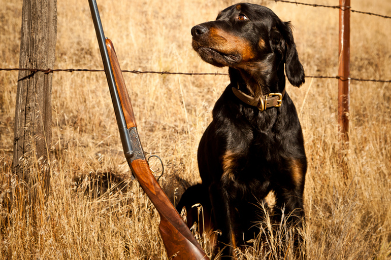 6 Great Side-By-Sides for Upland Bird Hunters