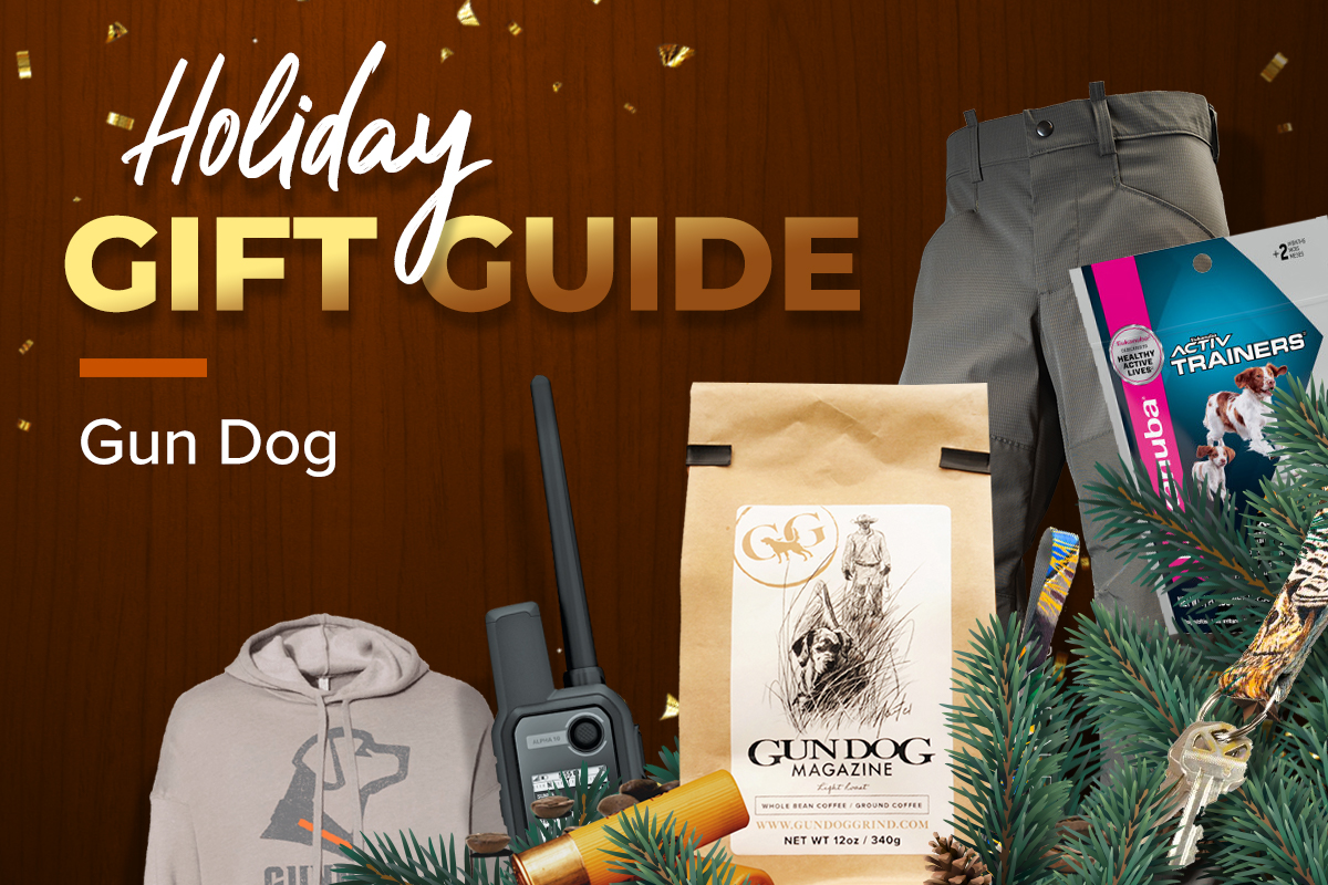 2021 Gun Dog Holiday Gift Guide
