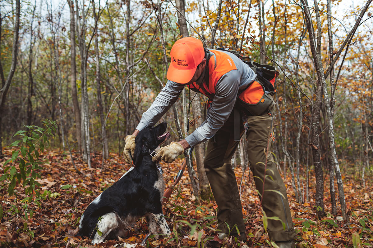 Should You Run a Bell or a Beeper Collar on Your Bird Dog?