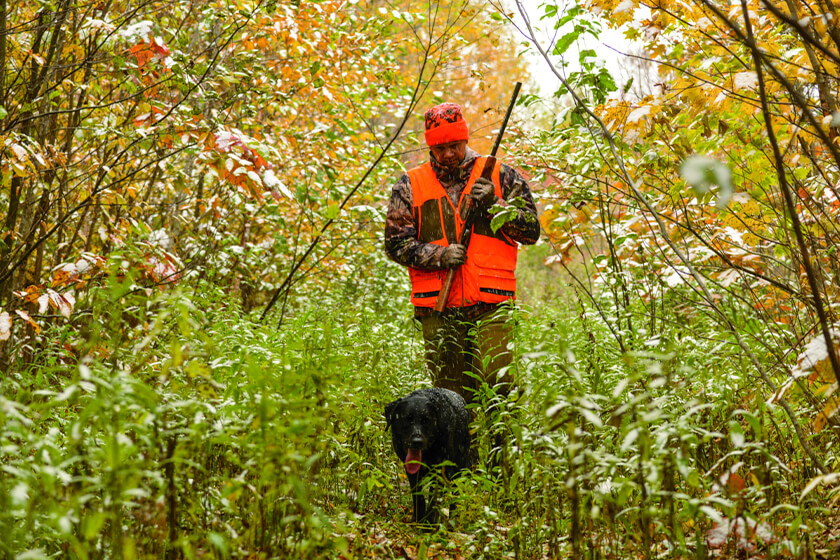 The Benefits of Hunting Solo with Your Gun Dog