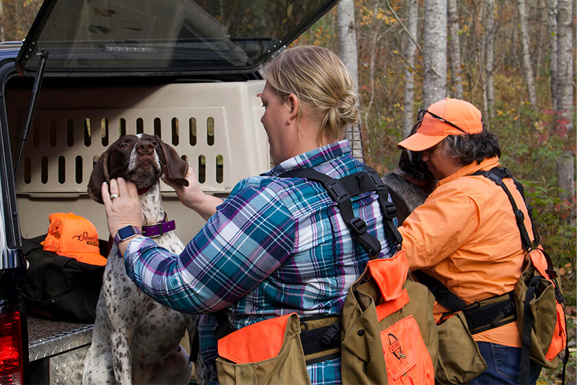 upland bird hunters with dogs