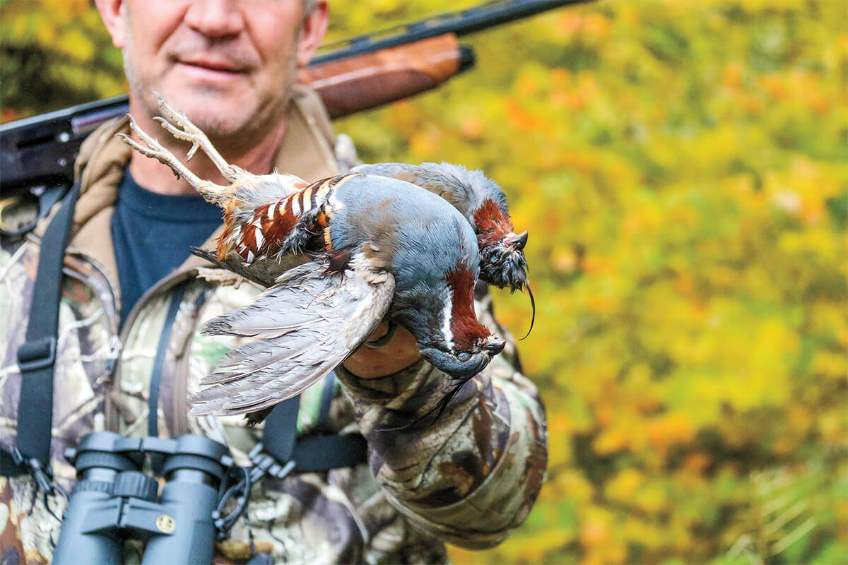 Bird Hunting State Spotlight Oregon Gun Dog