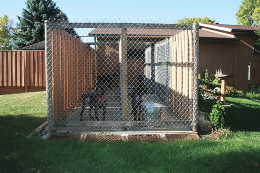 Simple dog 2025 kennel designs