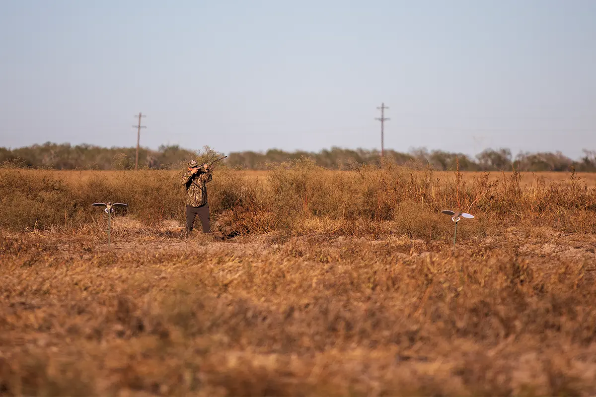 2022 Guide to Dove Hunting Essentials