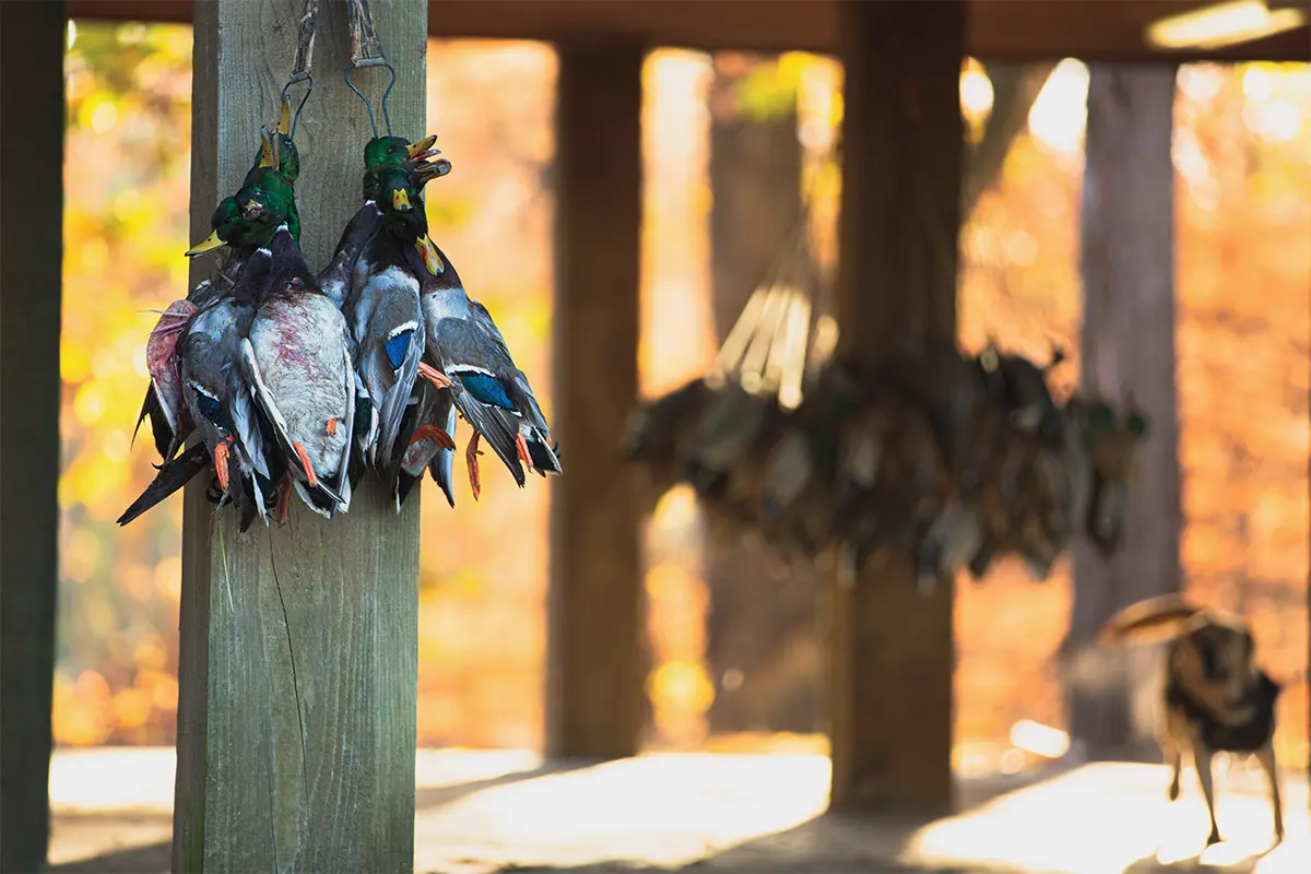 Tape your ducks in a row!  Bridging the Unbridgeable