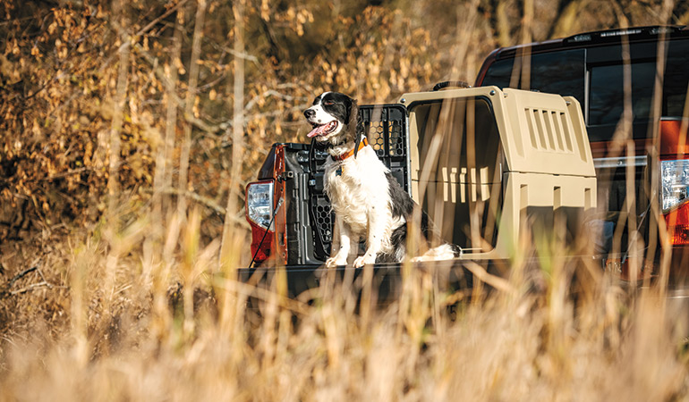 Crates, Kennels & Transport for Gun Dogs