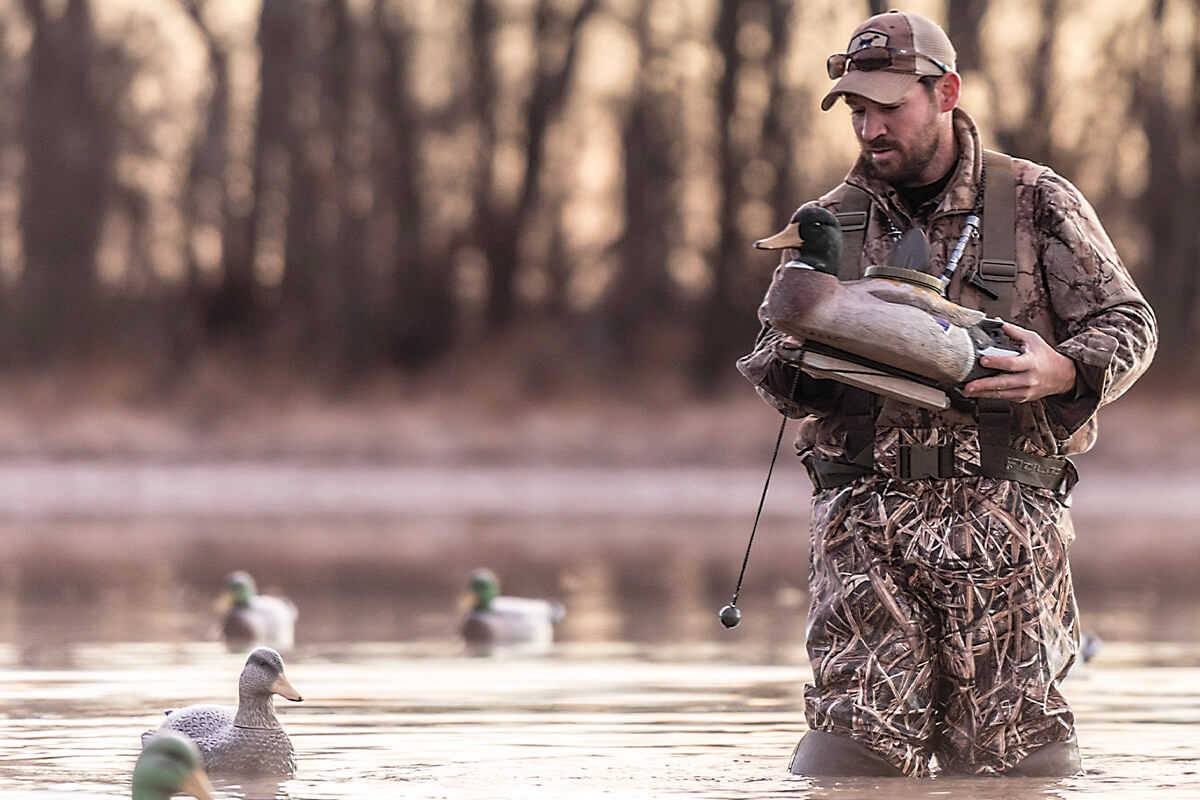 Everything You Need to Know About Duck Hunting