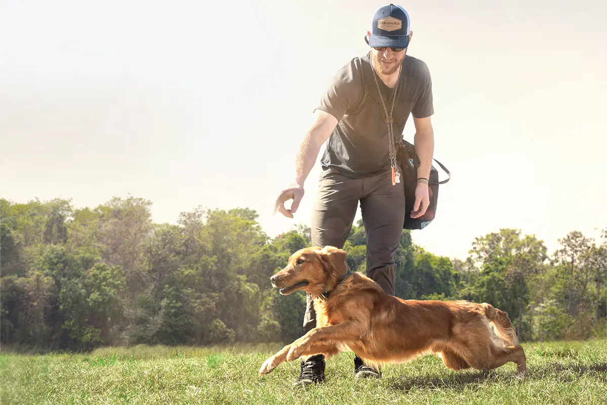 Exercise-Induced HRI: Does Your Dog Need Help?