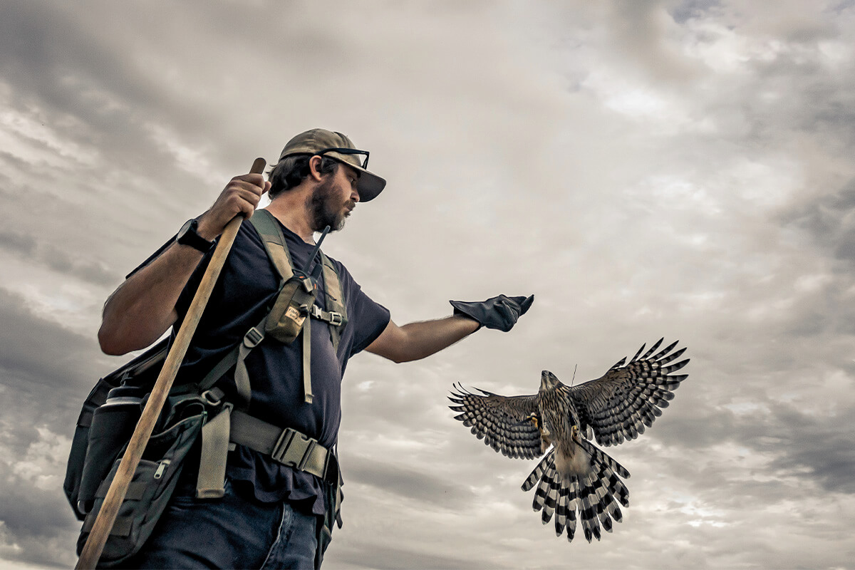 The Eagle's Eye by Russ Harris