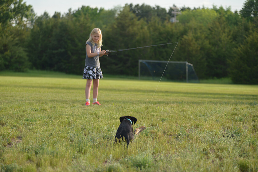 young girl with Labrador puppy and a wing on a string
