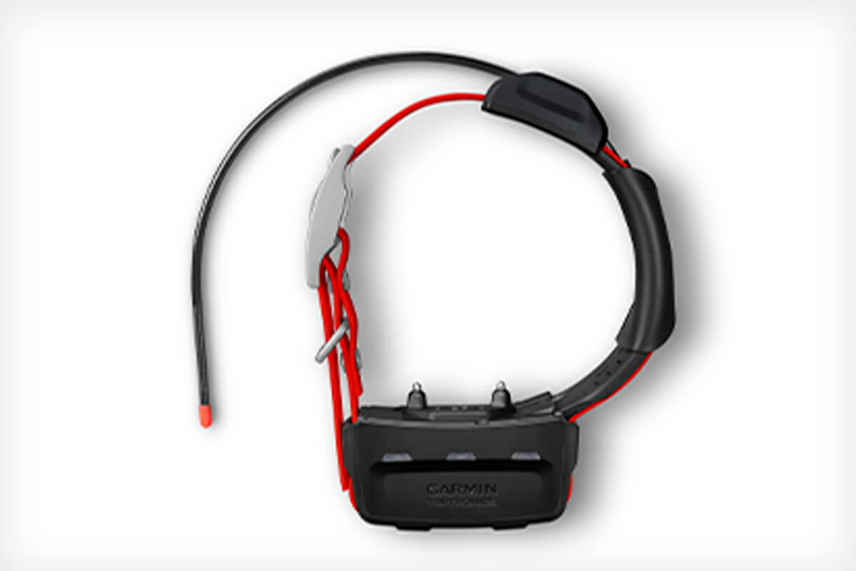 Garmin e collar on sale reviews