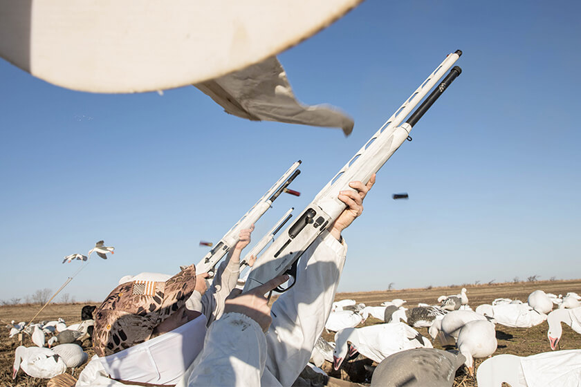 Snow goose hunters