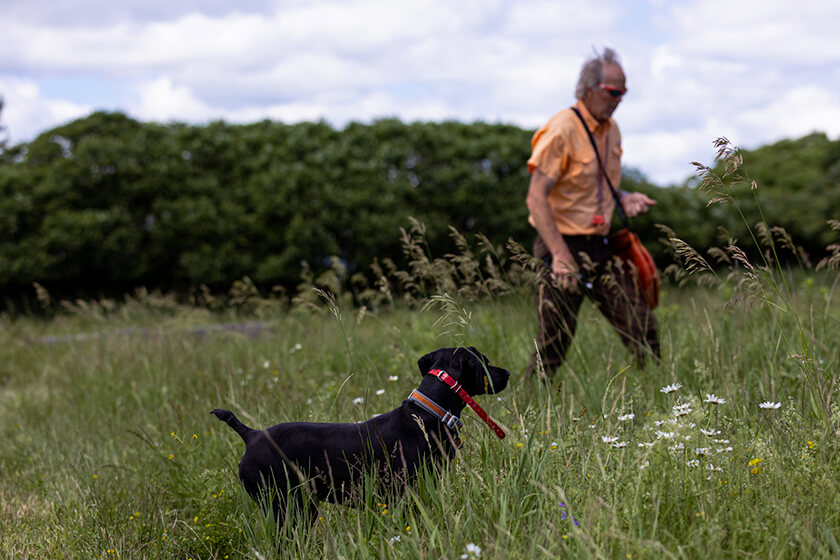 Trainer with German Shorthaired Pointer