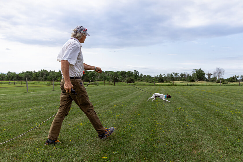 Trainer with English pointer