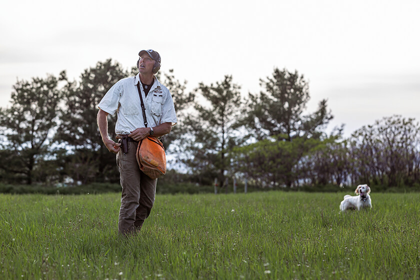 Trainer with English setter