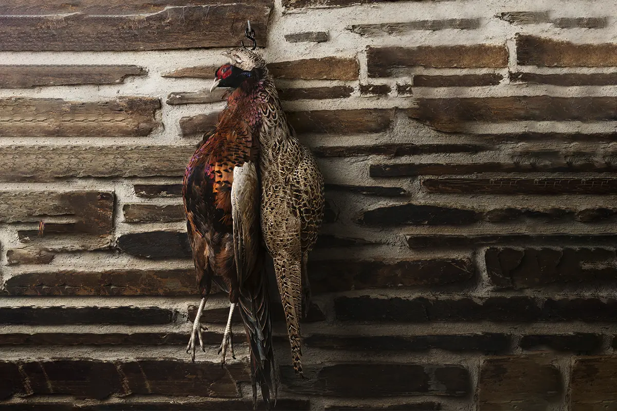 Why You Should Age Your Game Birds (And How to Do It the Right Way)