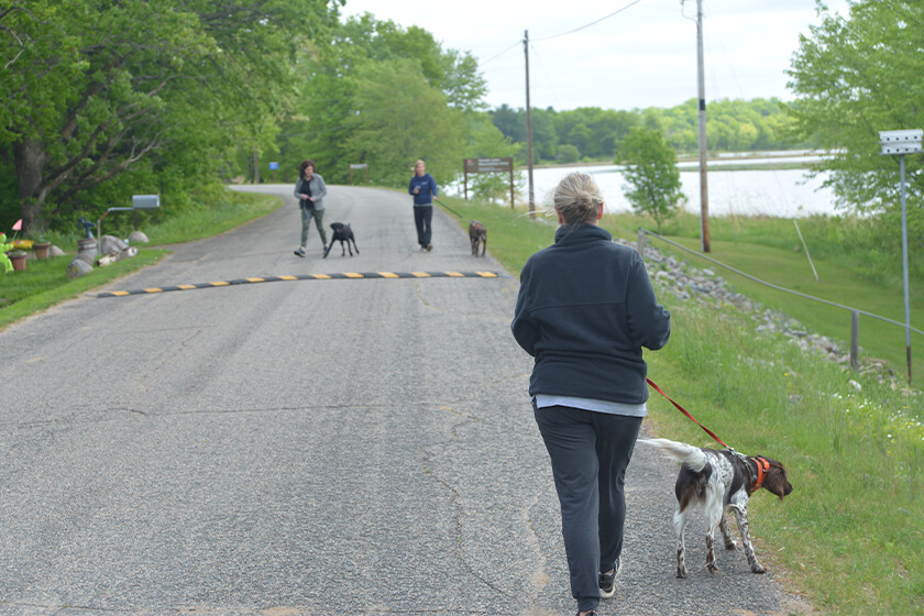 Woman walking dog down road