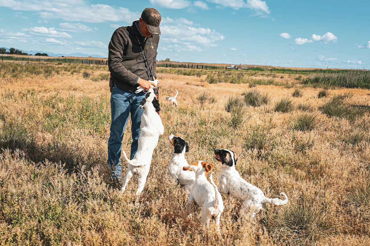 How to Use Positive Markers in Dog Training